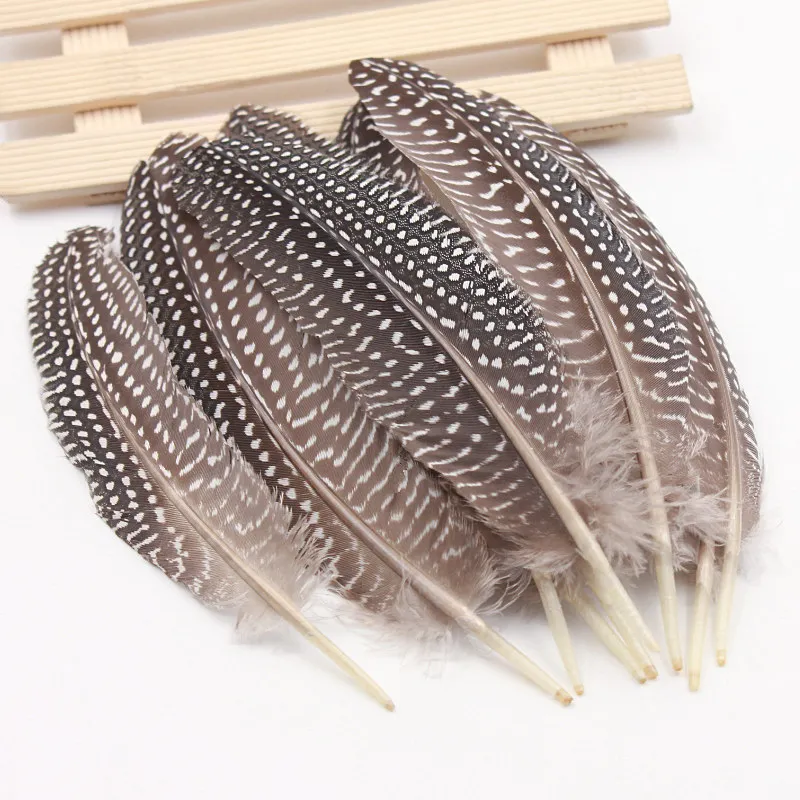 

20pcs/lot high quality beatiful natural guinea fowl feather 16-19cm / 6.3-7.5inch Decorative diy Clothing accessories