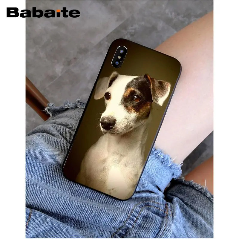 Babaite I love Jack Russell Terrier pop dog невероятный чехол для телефона для iphone 5 5s 5c SE и 6 6s 7 7plus 8 8plus чехол для телефона - Цвет: 6