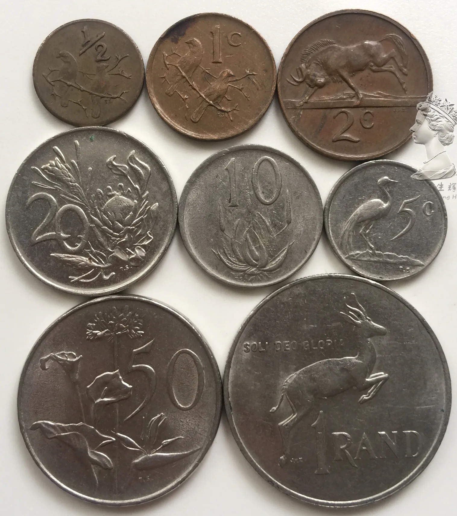 Set 8Pcs South Africa Coins Sets Old Edition Africa 100 Original Coin 