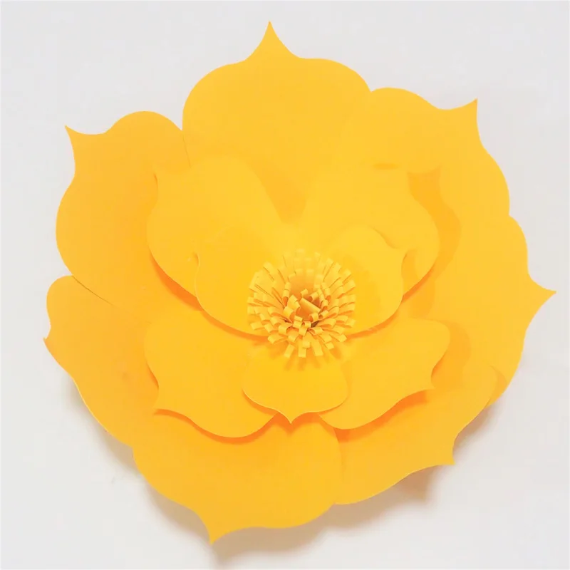 P4302624