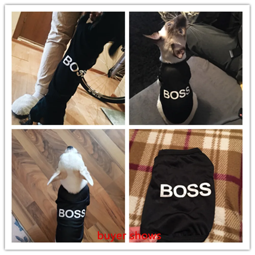 UTB8fozemCnEXKJk43Ubq6zLppXaR_