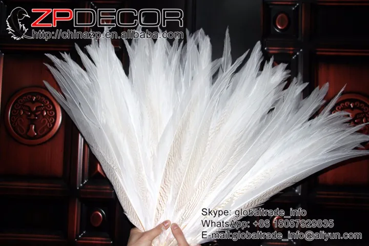  silver pheasant feathers  (3)
