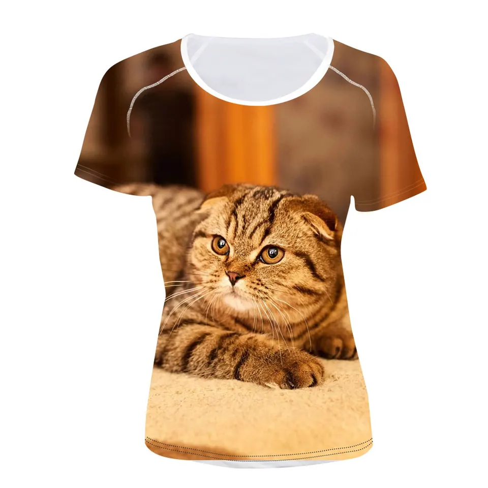 kitten clothing brand