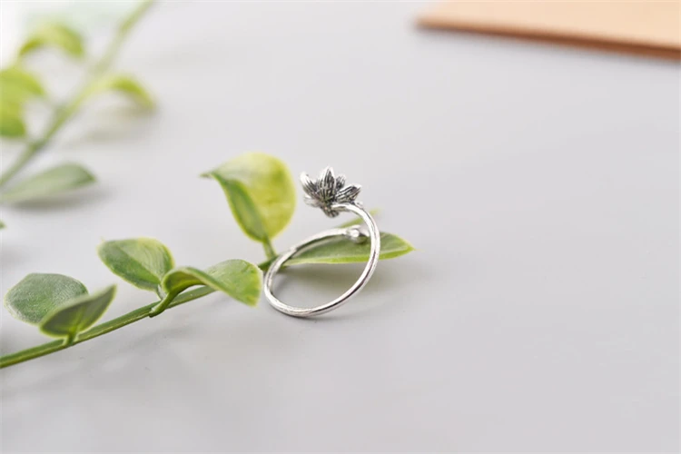 7851919456_823318017