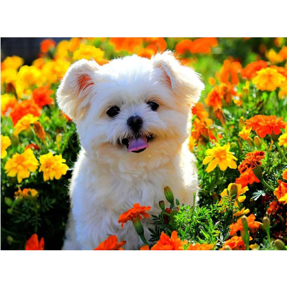 

DIY 5D Diamond embroidery animal rhinestones pasted painting cross stitch mosaic Dog and flowers DIY diamond Painting H1371