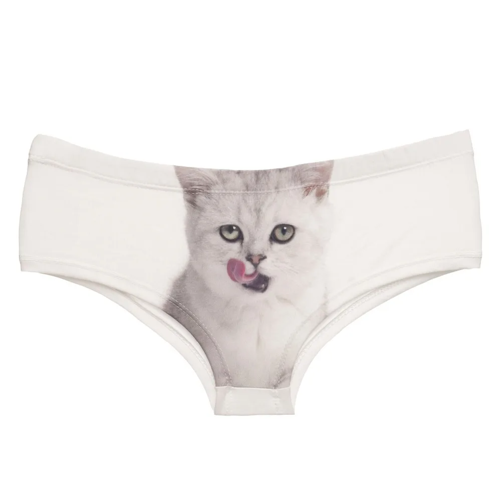 37058 licking kitten (3)