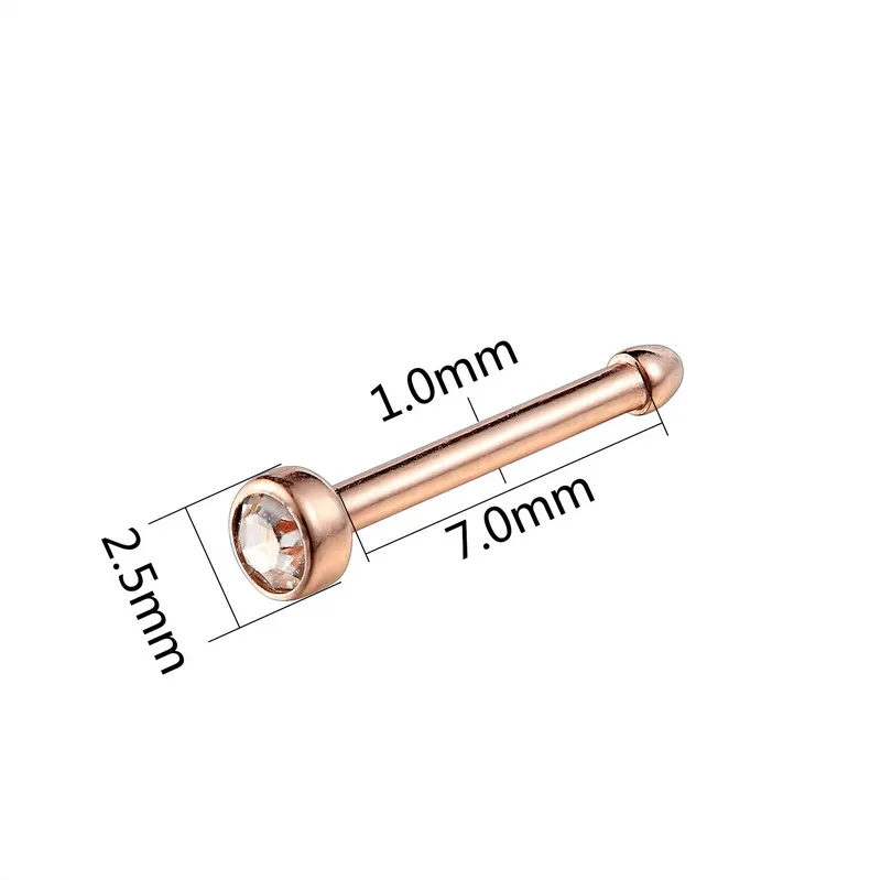 G23titan Nose Rings Nariz Earrings Nostril Piercings CZ Zircon Piercing Nose Screw Curved Prong Nose Stud Rings Body Jewelry - Image 2