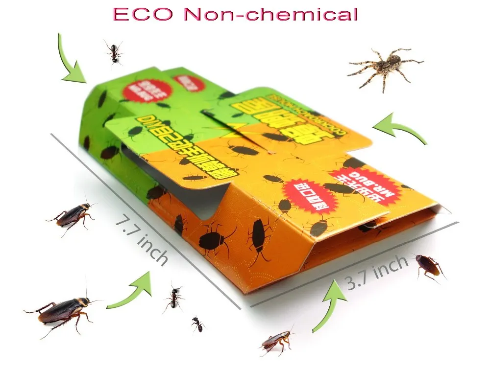 Bugs size ECO