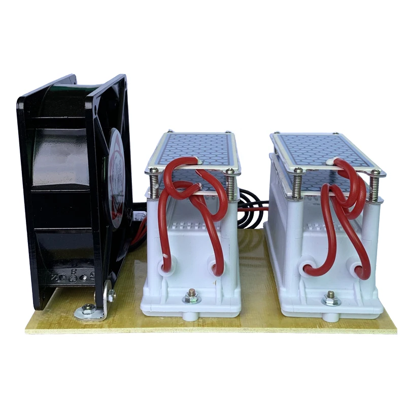 220V/110V 20g Керамика генератор озона двойной Встроенный длинный срок службы