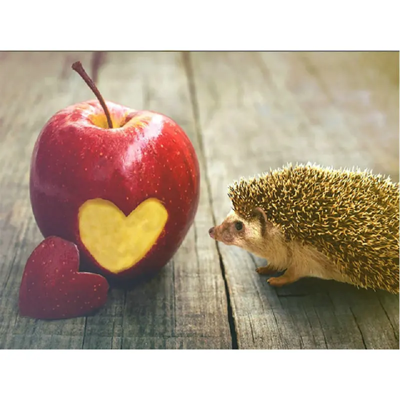 5D-DIY-Diamond-Hedgehog-Heart-Shaped-Apple-Painting-Art-Full-Square-Drill-Picture-Embroidery-Cross-Stitch.jpg_640x640