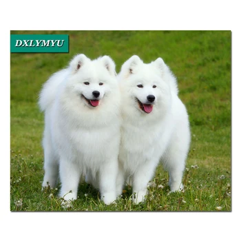 

New full square Diamond Painting Cross Stitch Happy Samoyed Dog Kit DIY Set diamond Embroidery Rhinestone Home Decor handcrafts
