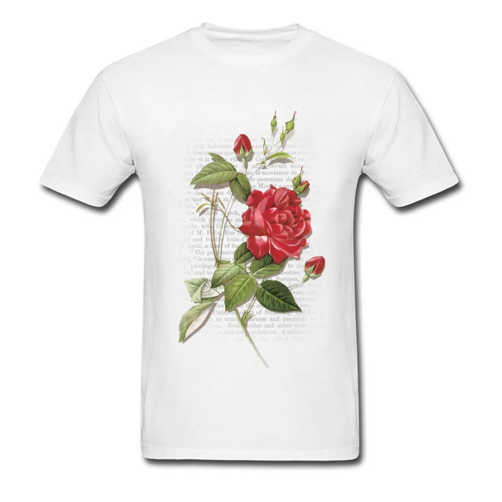 Rose Rouge Red Rose_white