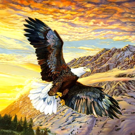 

A1204 Diamond Embroidery Home Decor 3DIY Eagle 100% area Resin Tool dril Painting Cross Stitch Fashion Mosaic Needlework