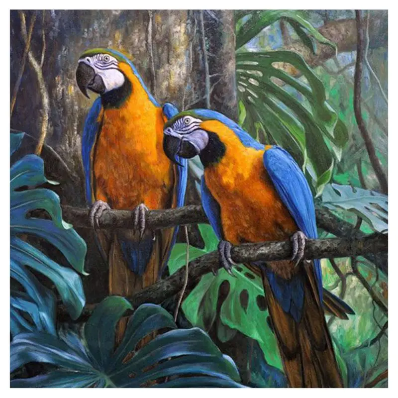 

5D Full Diamond Painting Parrots Embroidery Cross Stitch Kit Room Decor Rhinestone DIY Craft