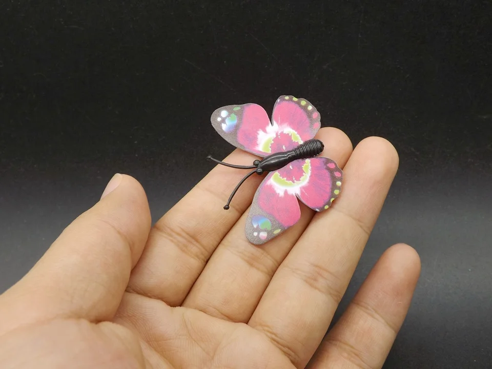 I250-Butterfly (2)