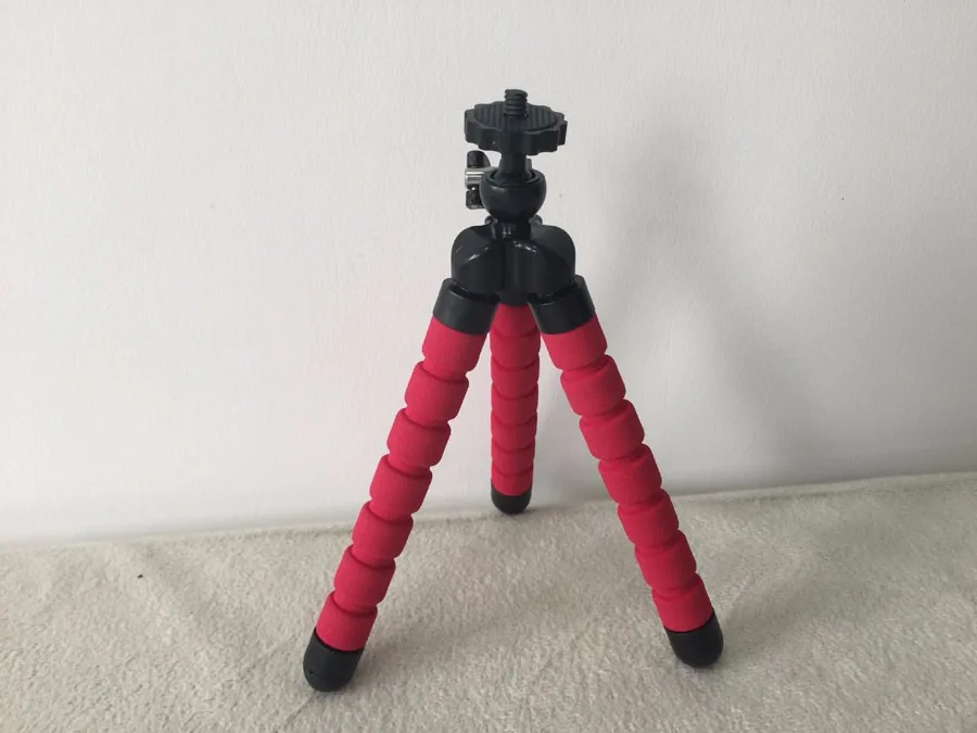 2558953041_292211845