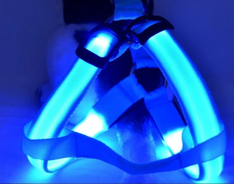 G26_Factory_Nylon_LED_Dog_Harness_Pet_Cat_Dog_Collar_Harness_Vest_Belt_Safety_Lighted_Dog_Harness_for_Small_Medium_dog_6