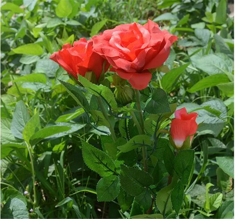QQ20180510115402
