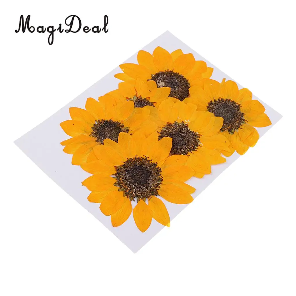 6 Pieces Pressed Natural Real Dried Flowers Sunflower for DIY Resin Ornament Craft Christmas Xmas Card Making Decoration