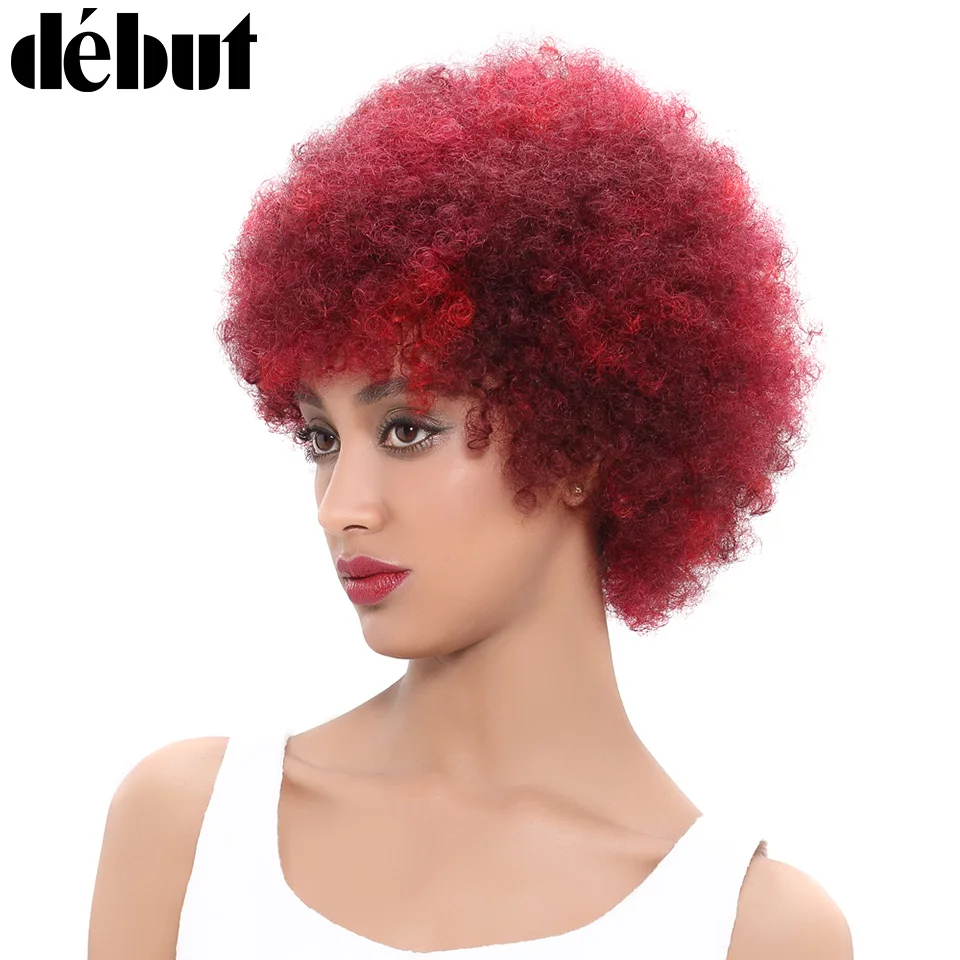 Ali Debut Curly Human Hair Wig Brazilian Afro Kinky Curly ...