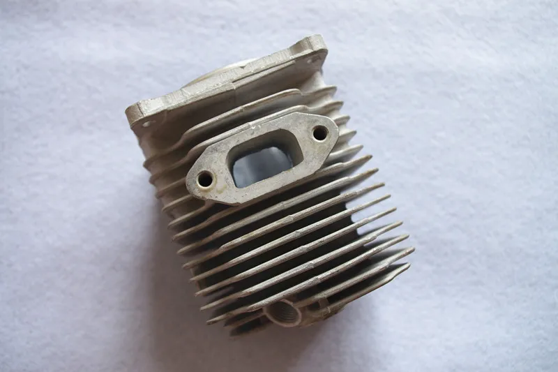 IMGP1731