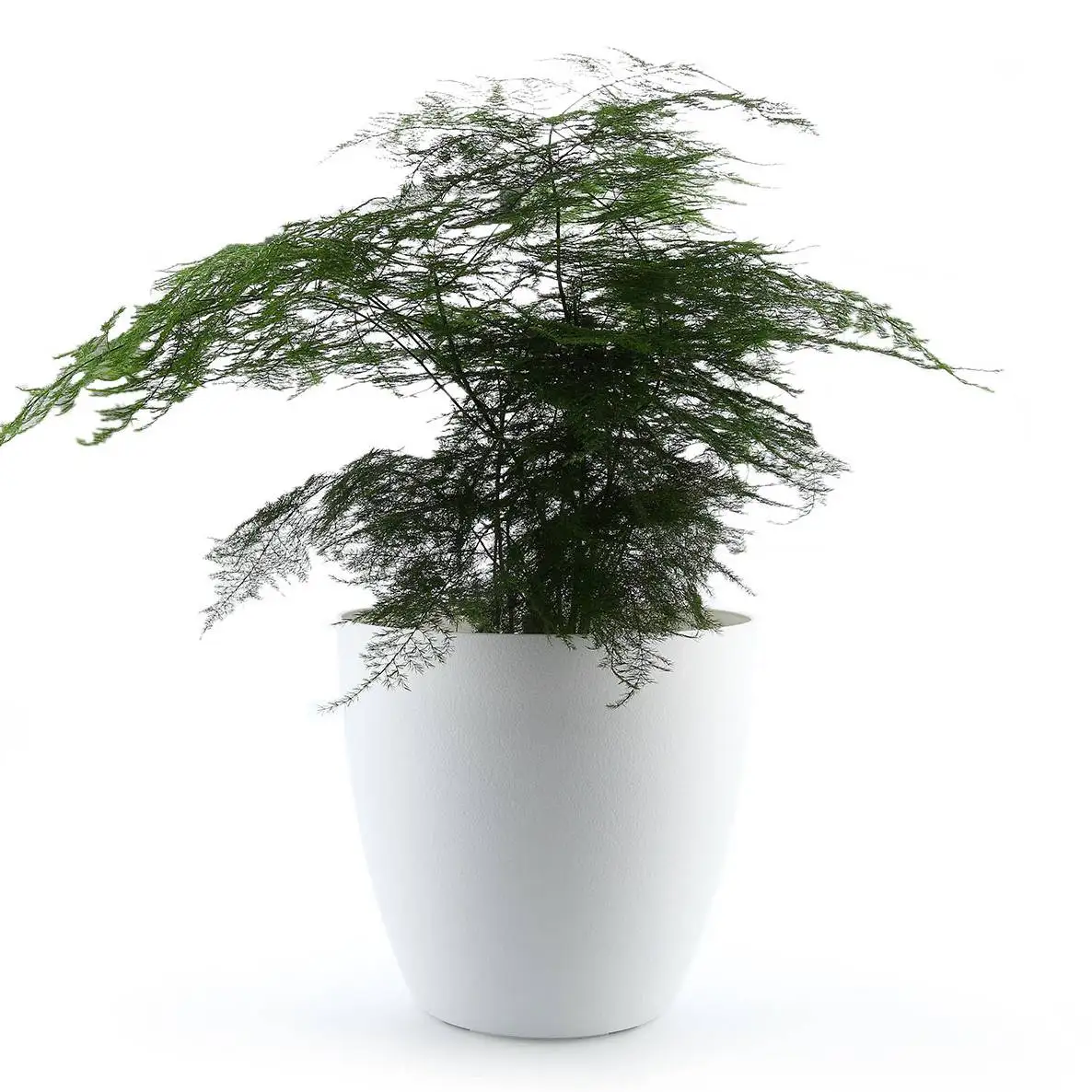 

T4U 8.5" Plastic Self Watering Planter with Water Level Indicator White, Modern Decorative Planter Pot for All House Plants