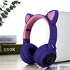 Earphones & Headphones