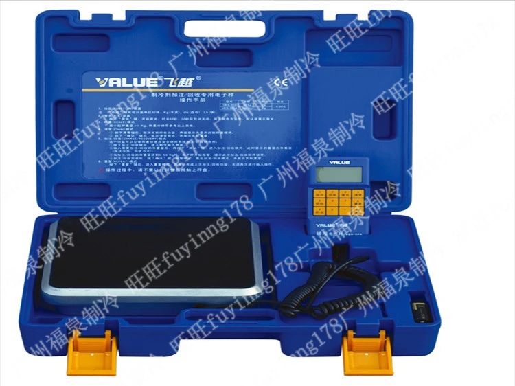 Fly over the electronic weighing 100 kg electronic