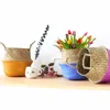 Garden Supplies