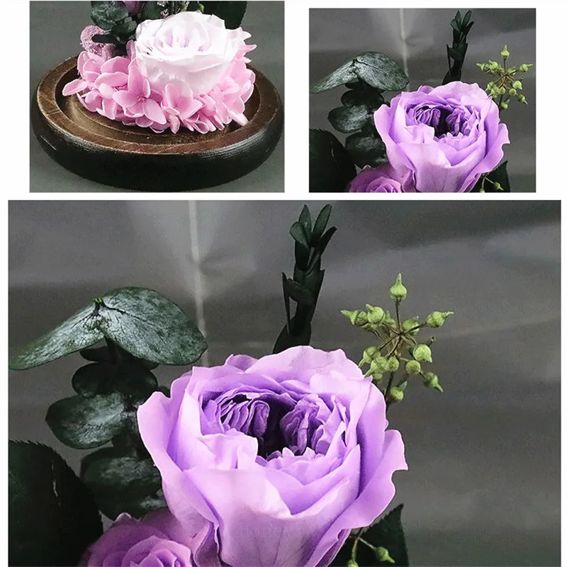 purple1