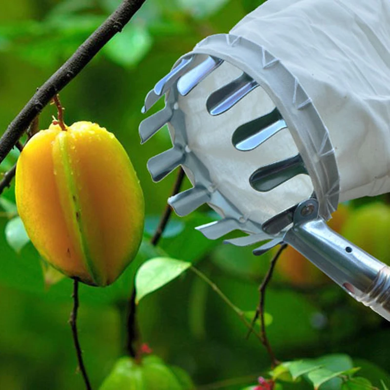 WHISM Universal Fruits Picker Pruning Tool Gardening Apple Pear Peach