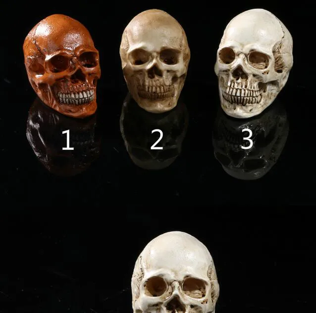 

Human skulls personality home decorations ornament medical teaching aids resin craft skull Halloween decoration props cranium