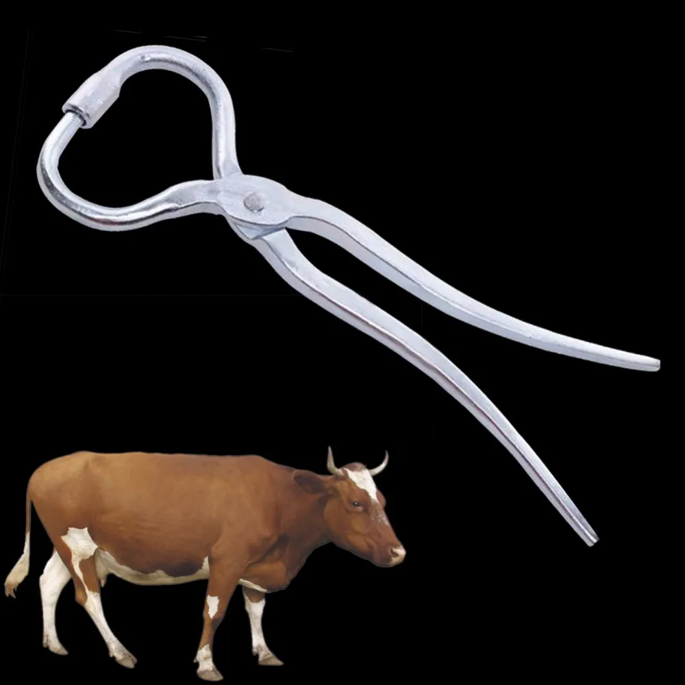 1PC Bull Cattle Nose Pliers Cow Nose Piercing Pliers Bull Nose Drilling