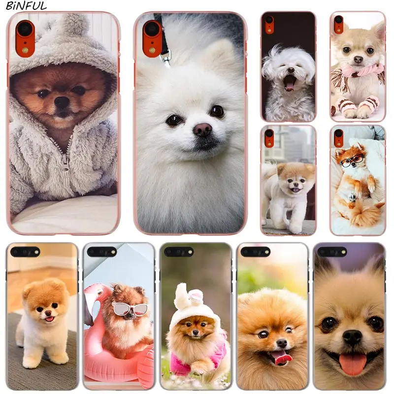 

cute Pomeranian dogs Hot Fashion Transparent Hard Phone Cover Case for iPhone X XS Max XR 8 7 6 6s Plus 5 SE 5C 4 4S