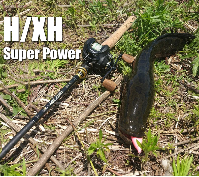 blackfish rod and reel combo