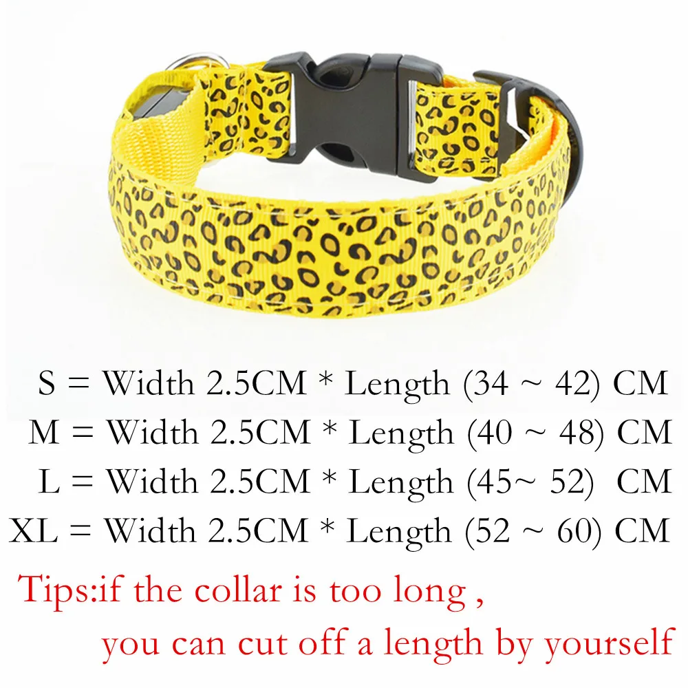 Dog Collar