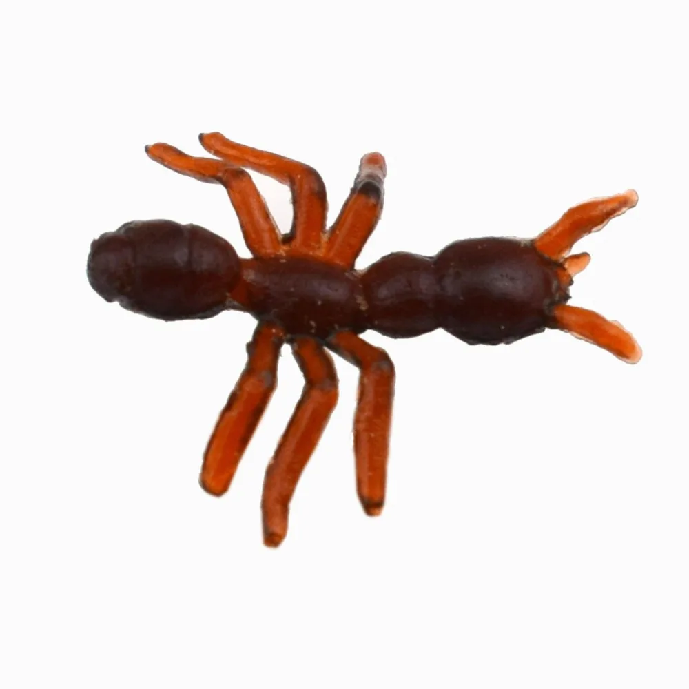 8877618187_1771713273