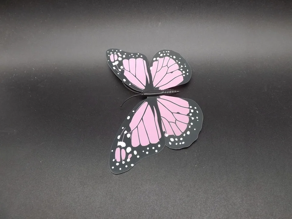 I242-Butterfly (6)