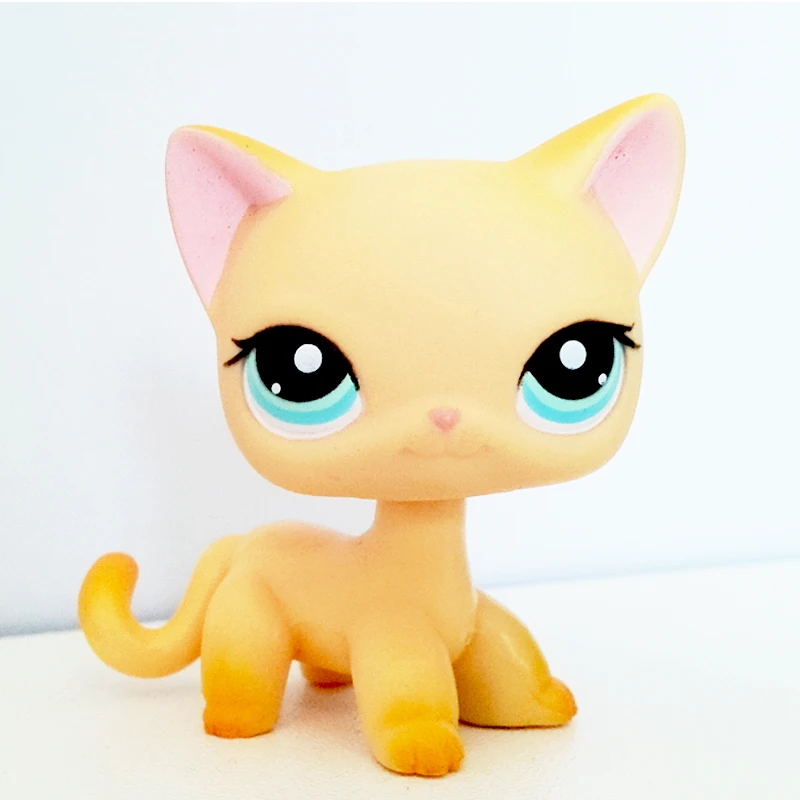 

real pet shop lps toys standing rare littlest short hair cat #339 yellow Kitten Blue Eyes original animal toys collection