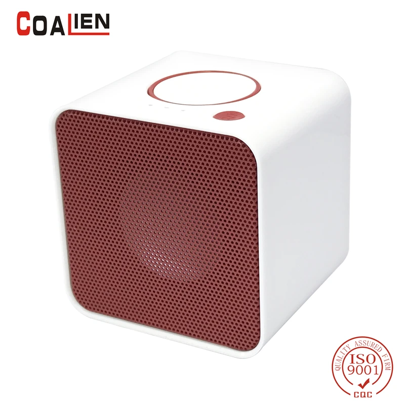 apple store bluetooth speakers