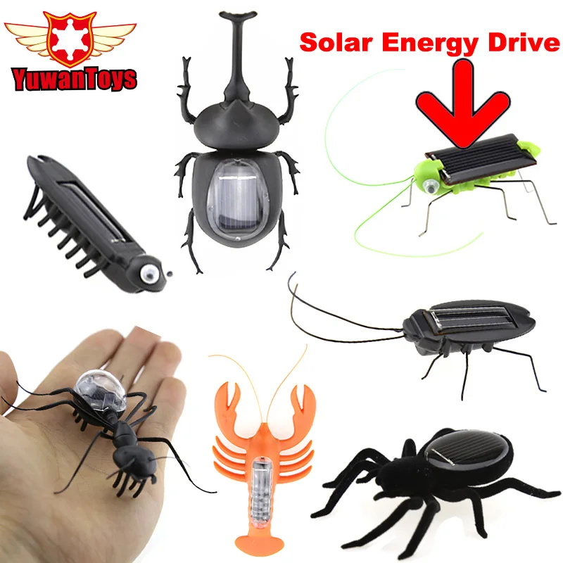 뜨거운 태양 거미 개미 바퀴벌레 메뚜기 태양 에너지 에너지 곤충 태양 참신 재미 있은 장난감 미니 녹색 로봇 참신 개그 장난감Solar Toys AliExpress