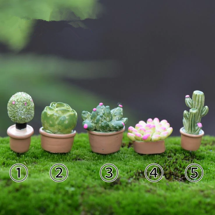 

5Pcs/1 Set Lifelike Mini Artificial Fleshy Cactus Plant Real Touch Palm Bonsai Landscape Decorative Flower Talbe Decoration