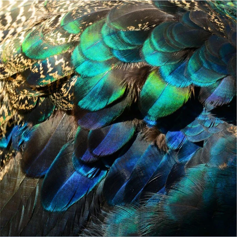 Wellyu Papel Parede Custom Wallpaper Hd Peacock Feathers Wallpapers For  Living Room Papel De Parede Para Quarto Behang - Wallpapers - AliExpress
