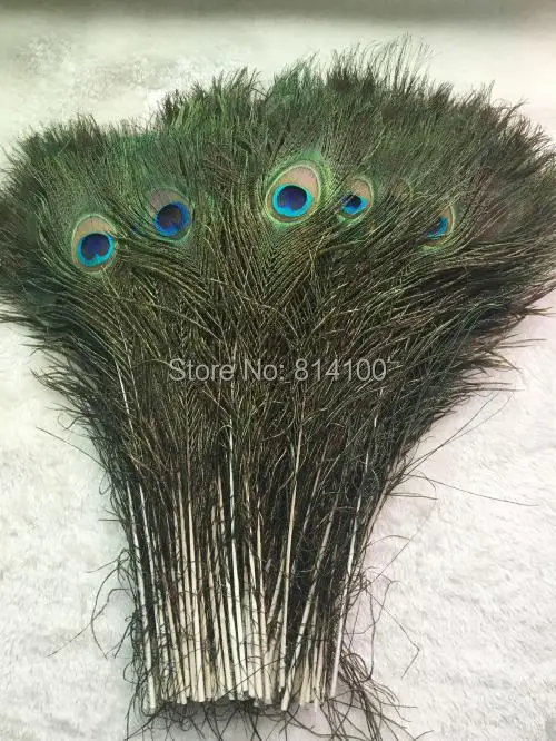 Length 40 45cm 16 18 Wedding Peacock Natural Feather Wholesale Price Length 40 45cm 16 18 wedding peacock natural feather wholesale price