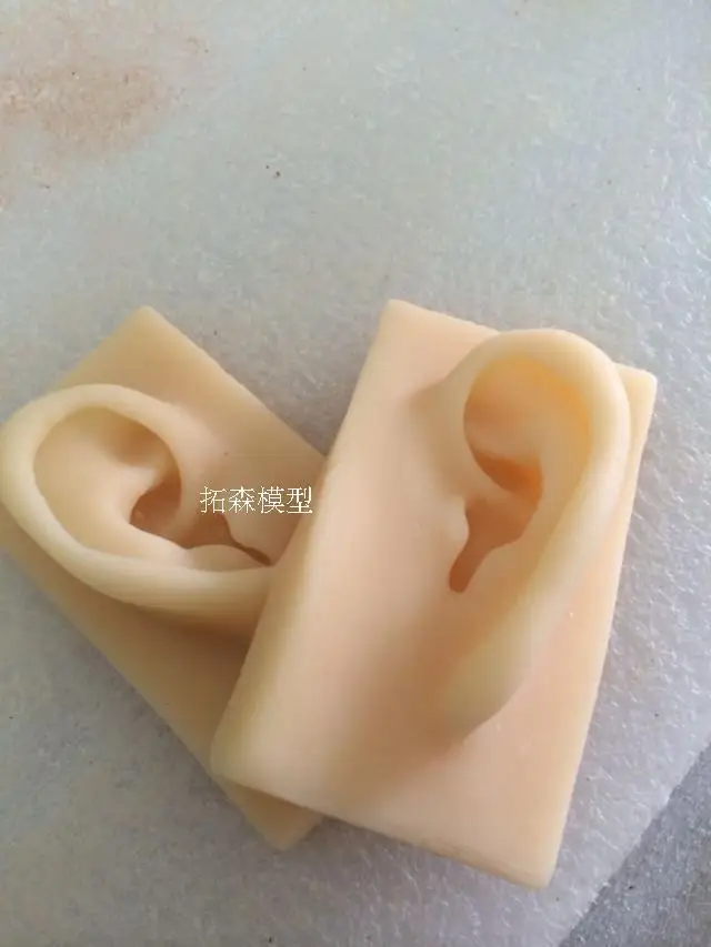 

2 pcs ear model life size silicone ear acupuncture practice model simulation model of the ear right and left