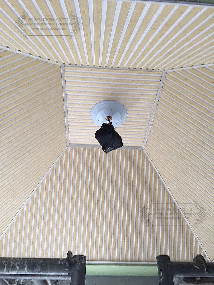 Candelabro do Controle Ddj250 do Candelabro do Elevador do Candelabro dos Guinchos do Candelabro Cabo de 6 Grua Controle Remoto Automático Peso Avaliado Máximo 250kgs m do 28 High Quality Luzes e Iluminação