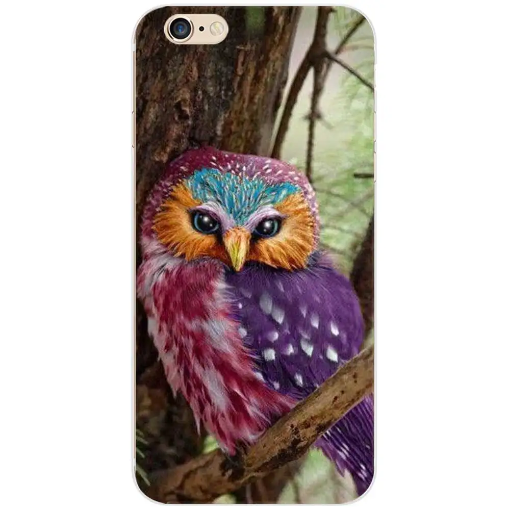 owlz4