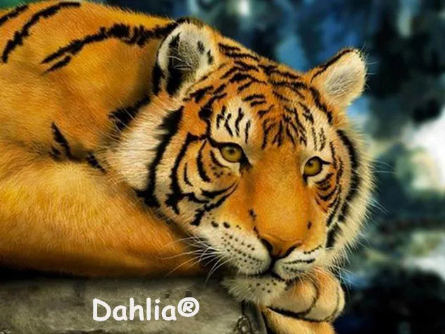 TB2QiiamH4npuFjSZFmXXXl4FXa_!!87495454_