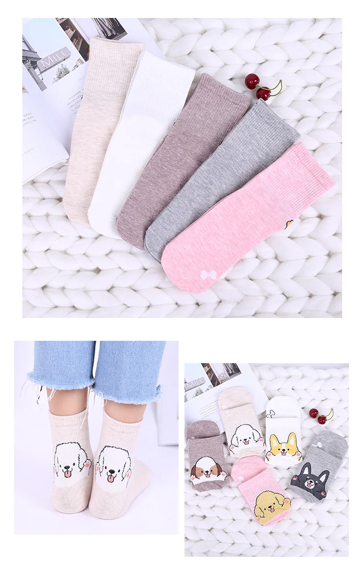 8577607291_259698019