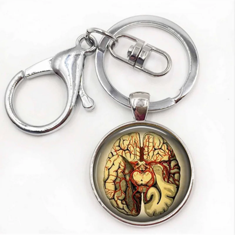

NEW Steampunk Jewelry Anatomical brain Keychain pendant Gothic Keychain science pendant biology medical student gift